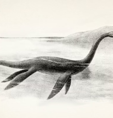 A black and white drawing of a lake monster. 