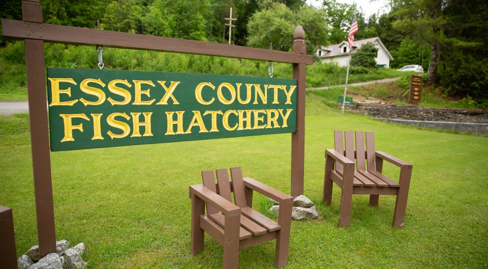 Welcome to the Fish Hatchery at Crown Point.
