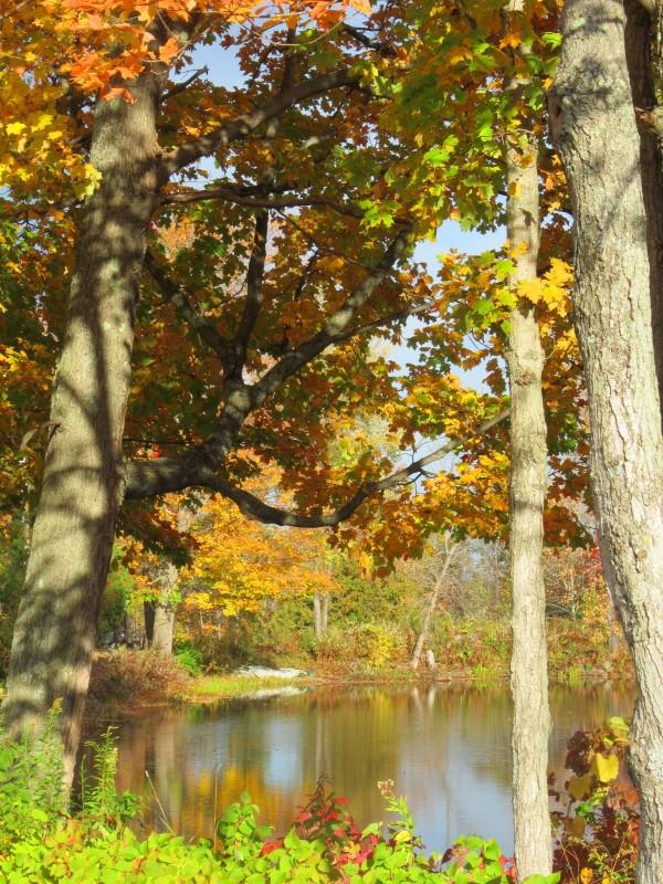Penfield Pond in autumn.