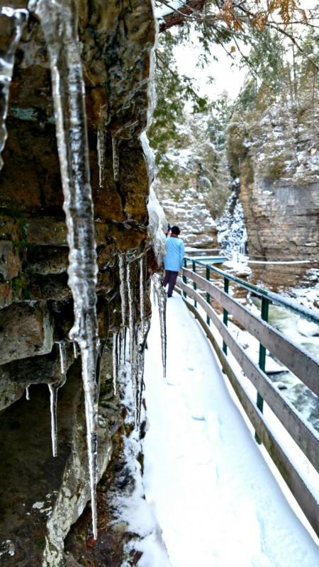 Icicle action! This catwalk offers great views of the towering sandstone cliffs and the roaring river below. The line of white at middle right, where it looks like I can touch it with my hand, is an adventure bridge in the summer.