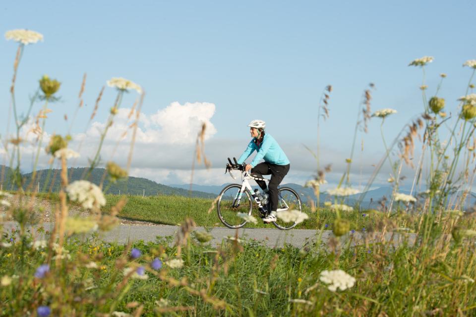 a woman cycles past a field of wildflowers with the mountains behind her