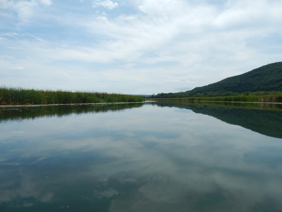 A view of a calm, flatwater, marshy area with a small mountain rising to the right.