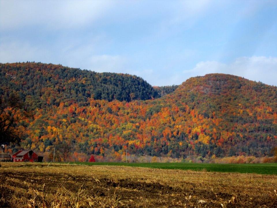 A harvested cornfield next to an old red barn alongside a foliage covered mountain.