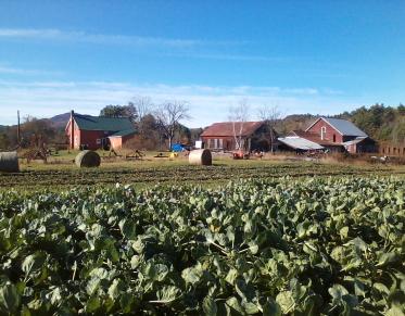 view of the farm and buildings