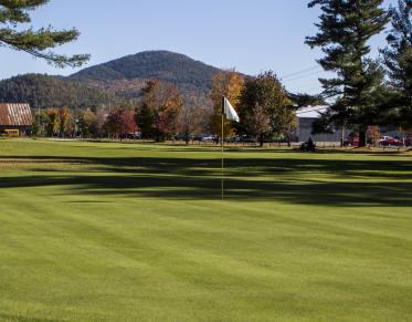 The greens of Cobble Hill Golf Course.
