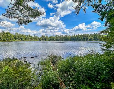 Clear Pond