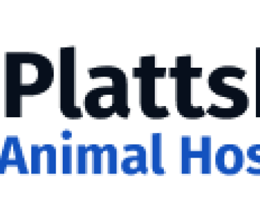 A silhouette of a cat and a dog in blue with the text  'Plattsburgh Animal Hospital