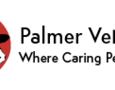 An illustration of a horse