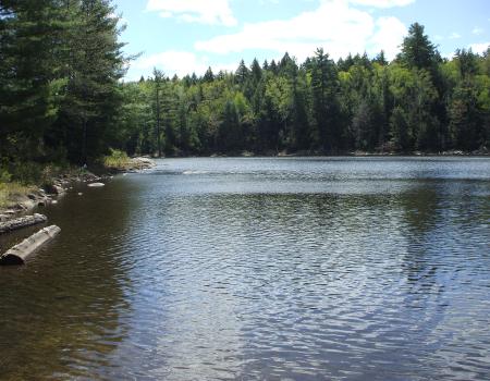Crane Pond is big enough for so many outdoor adventures.