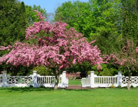 The beautiful Colonial Garden makes for a lovely backdrop in three different seasons.