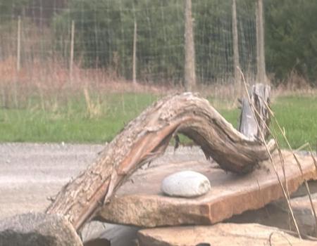 Stacked stones and a curved log by a fence.
