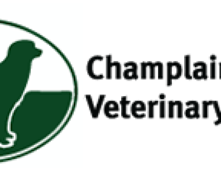 A silhouette of a cat