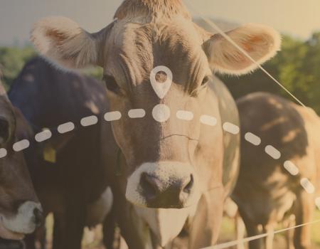 Ausable Valley Cuisine Trail