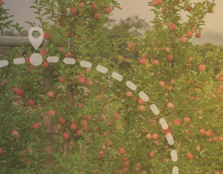 North Country Cuisine Trail