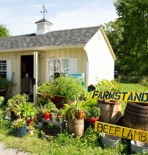 A small farmstand building with open door and weathervane is surrounded by potted plants and trees.