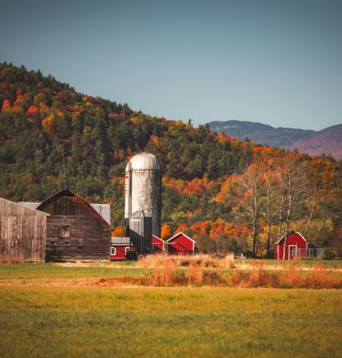 A farm surrounded by fall foliage. 