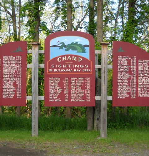 Champ Sightings
