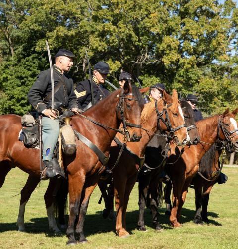 horses