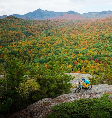 A mountain landscape covered in foliage lies in the background as a woman mountain bikes on a trail.