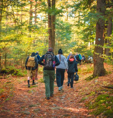 people hiking