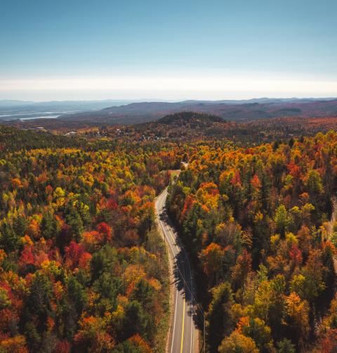fall scenic