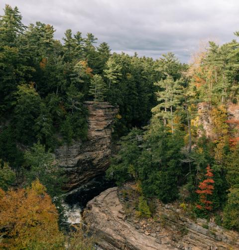A chasm in the woods with rock formations covered in fall foliage.