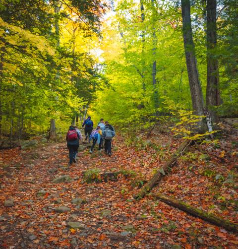 LCR hike