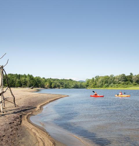 kayakers 