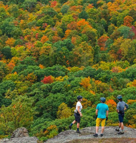 A group of people stand at the top of a mountain in fall.