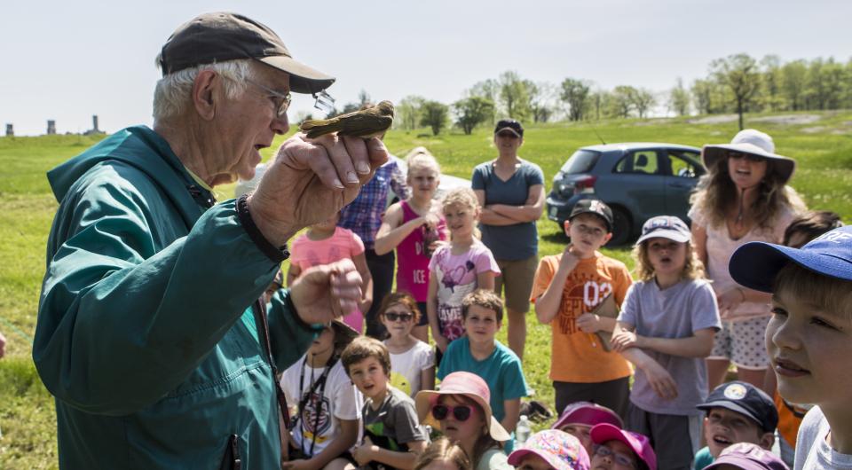 Knowledgeable birding guides talk about birds.