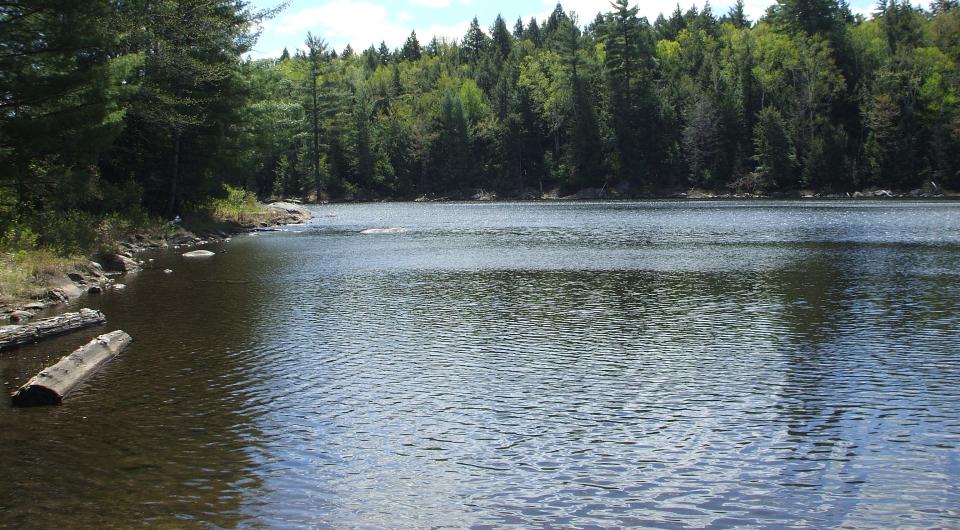 Crane Pond is big enough for so many outdoor adventures.