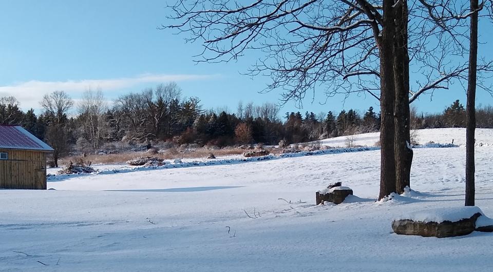 A field covered in snow