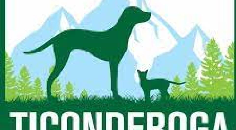 A silhouette of a dog and a cat in front of a mountain range with pine trees.