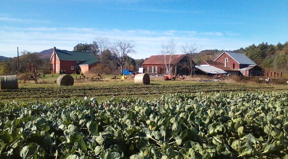 view of the farm and buildings