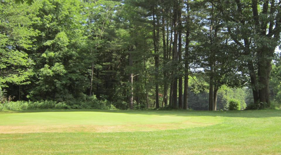 A perfectly groomed green.