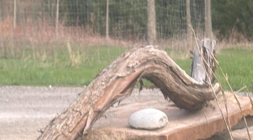 Stacked stones and a curved log by a fence.