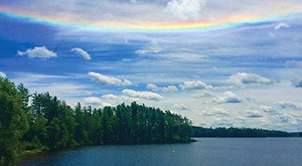 The view from a mountain top looking over the pine trees with a sea of clouds and a rainbow above.