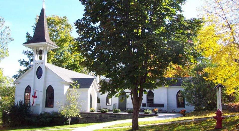 A white church with grey steeple and a large pine tree out front.