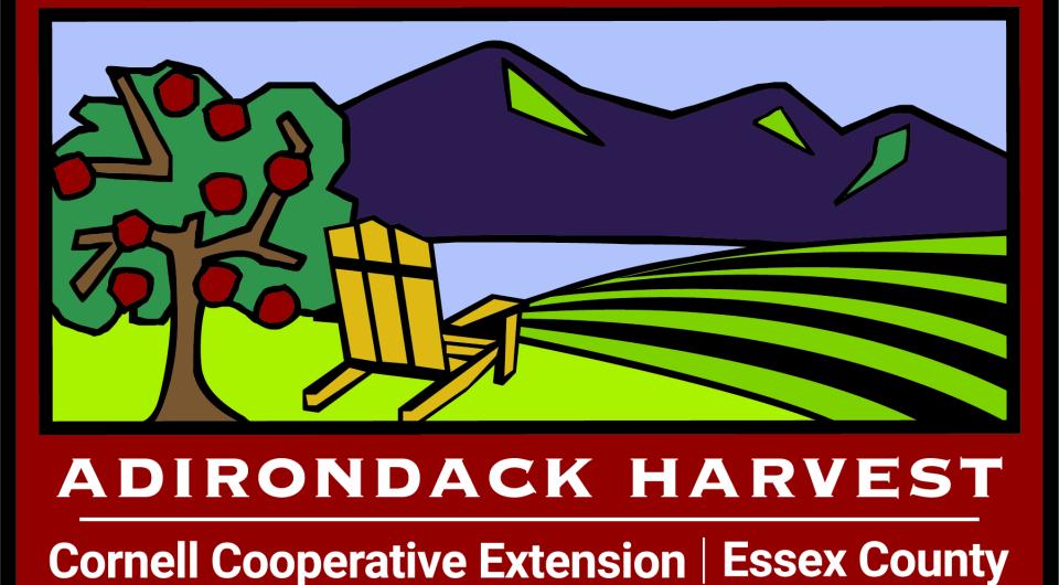 Adirondack Harvest
