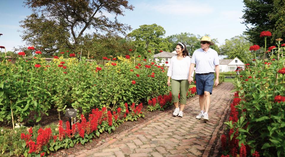 A couple holds hands while they walk down a brick path linked with red salvia and zinnias near as tall as the people.
