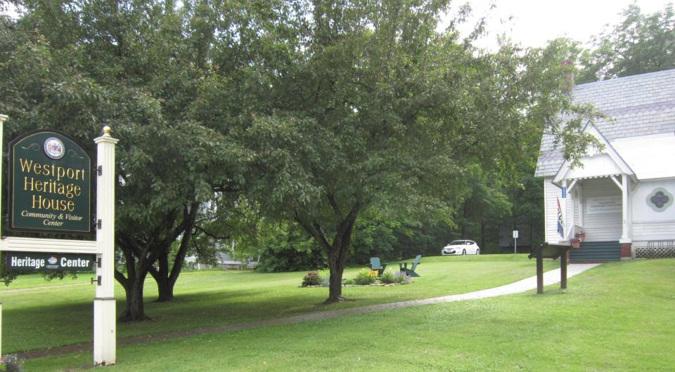 WHH lawn and tree