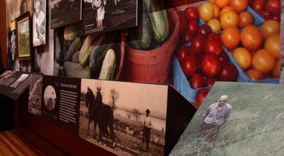 Images with description cards hung on walls.