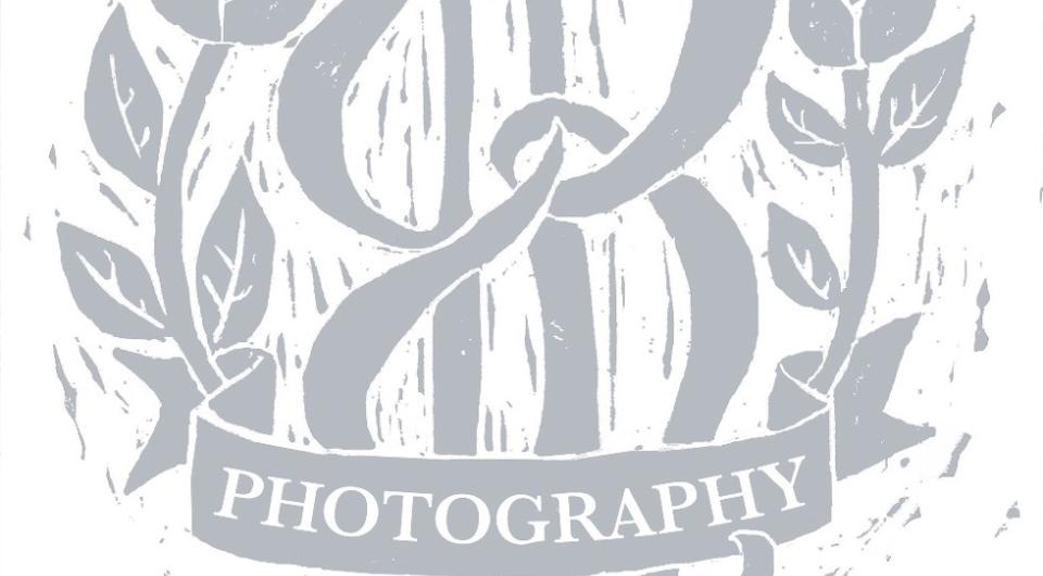 Portrait of a bride with veil.