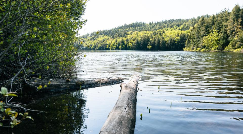 View of a pond