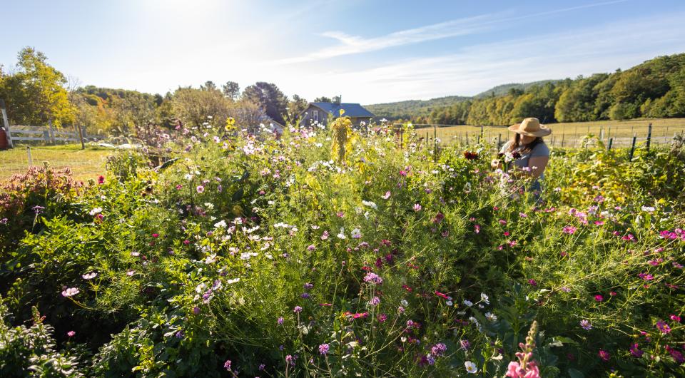 A farmer stands among the flowers under a bright blue sky.