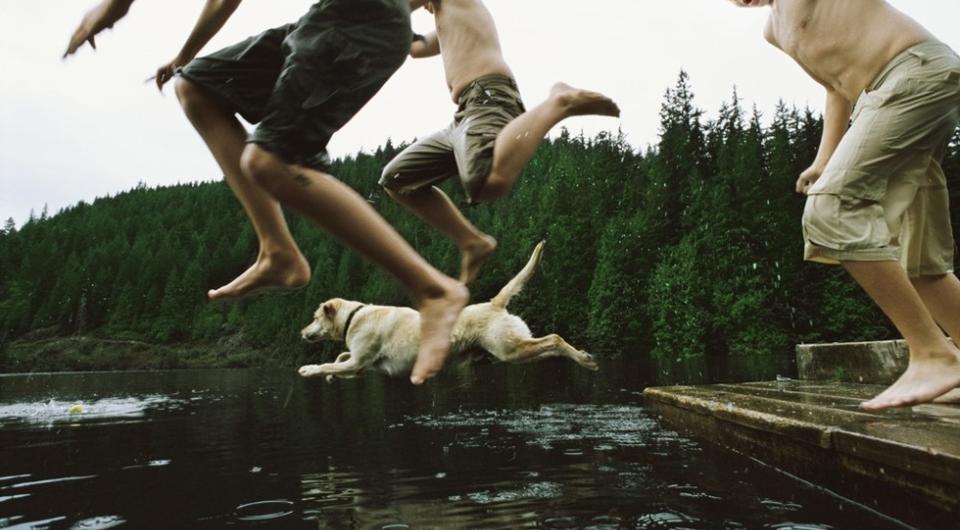 Kids and a dog jump from a dock into the water