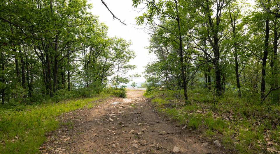 The approach to a forested overlook