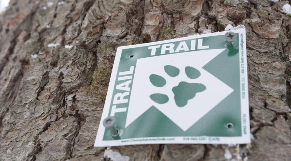 CATS marker