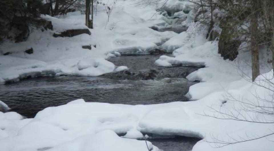 An icy stream