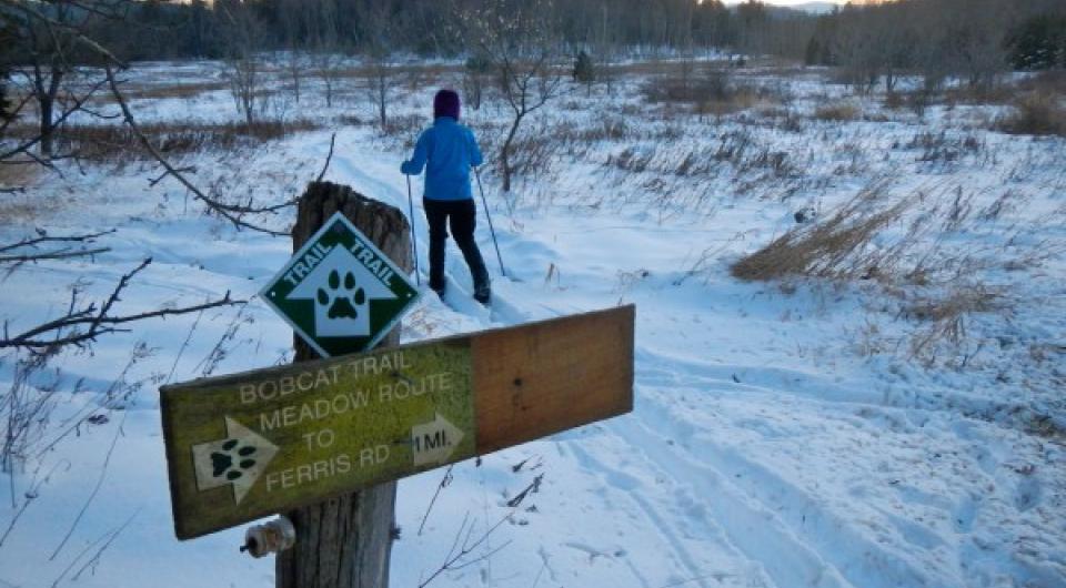 XC skiing the Bobcat Trail